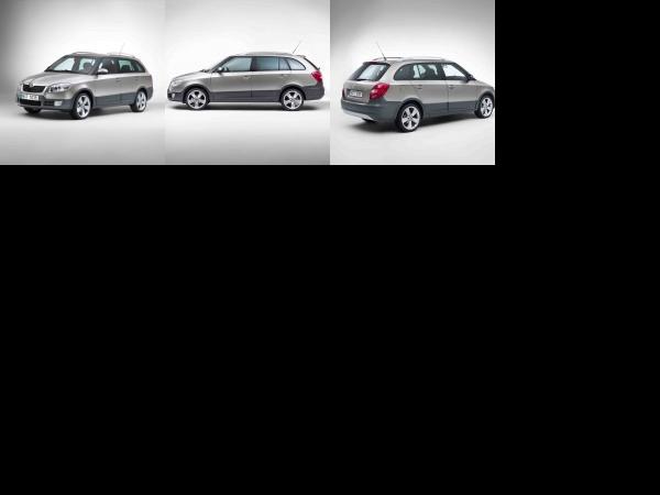 Skoda Fabia Scout (2010) - picture 1 of 3