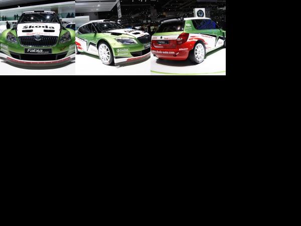 Geneva Skoda Fabia Super 2000 Geneva 2010 (2010) - picture 1 of 3