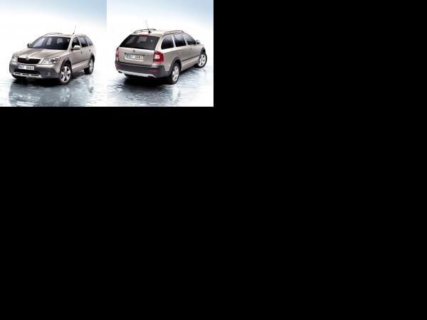 Skoda Octavia Scout Facelift (2009) - picture 1 of 2