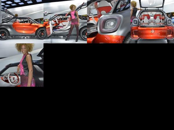 Paris smart forstars concept Paris 2012 (2012) - picture 1 of 5