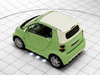 Smart fortwo BRABUS (2009) - picture 6 of 14