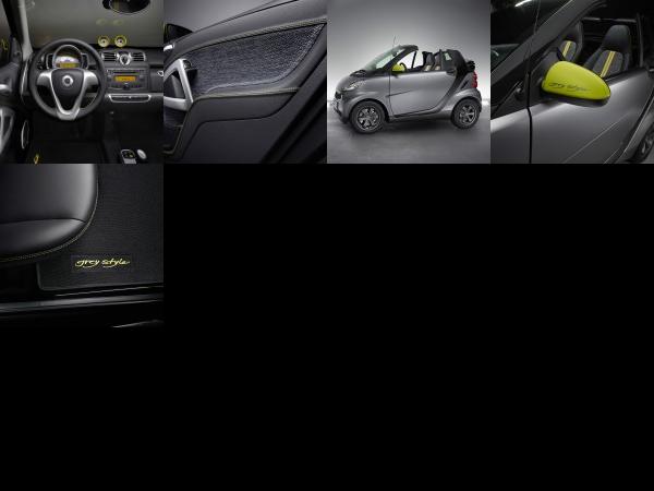 smart fortwo greystyle edition (2010) - picture 1 of 5