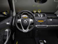 smart fortwo greystyle edition (2010) - picture 1 of 5