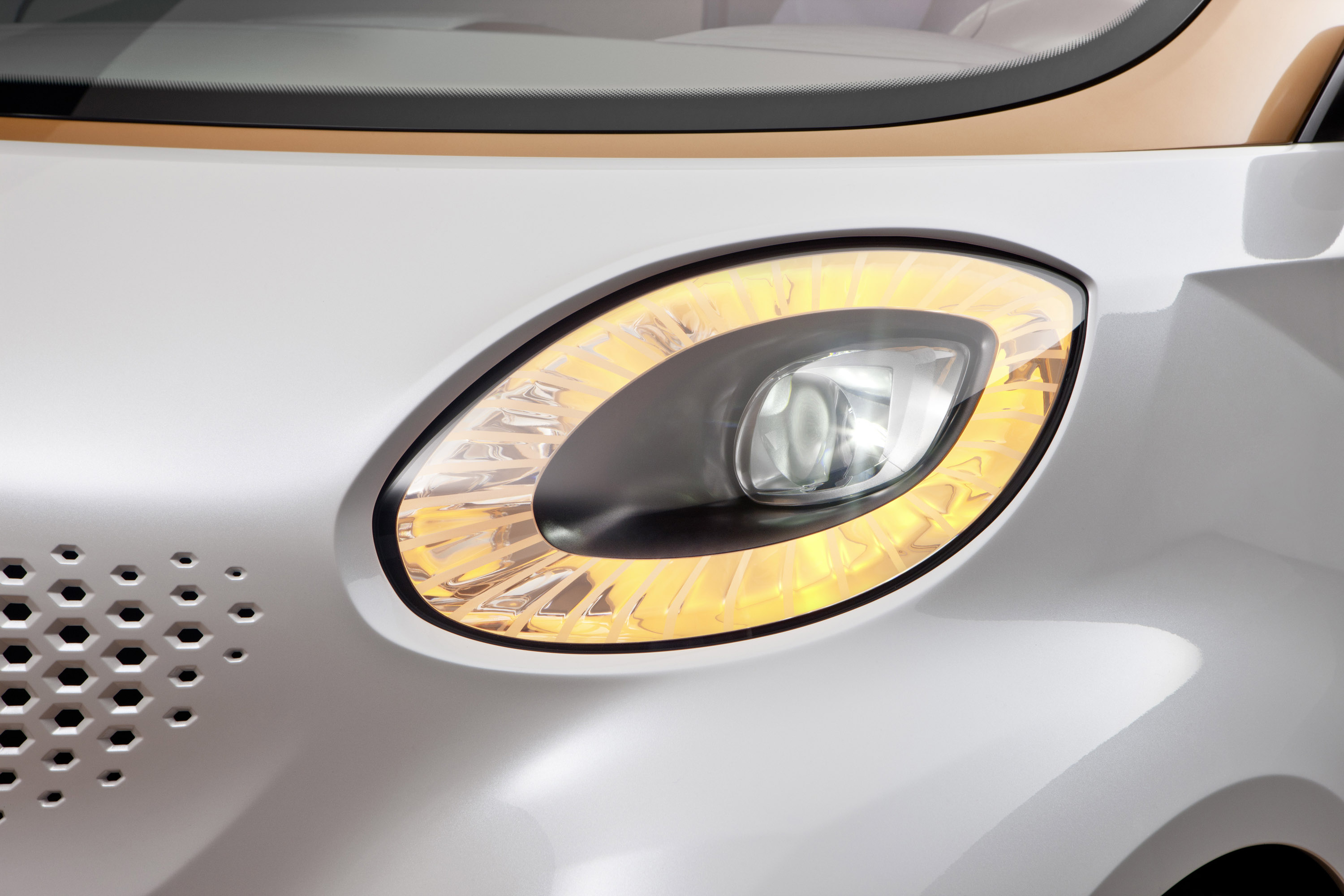 smart Forvision Concept