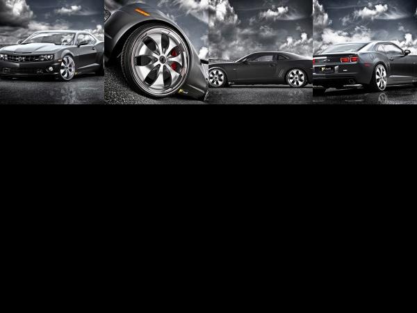 Speed Box Chevrolet Camaro SS Black Cat (2011) - picture 1 of 4
