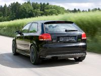Sportec Audi RS 300 (2007) - picture 3 of 14