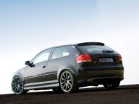 Sportec Audi RS 300 (2007) - picture 8 of 14