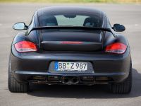 TECHART Porsche Cayman GT (2009) - picture 4 of 10