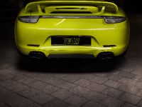 Techart Porsche 911 Targa 4S (2014)