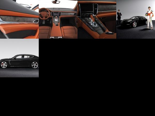 Techart Porsche Panamera (2009) - picture 13 of 17
