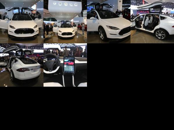 Detroit Tesla Model X Detroit 2013 (2013) - picture 1 of 6