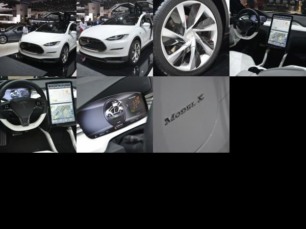 Geneva Tesla Model X Geneva 2013 (2013) - picture 1 of 7