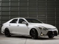 Toyota Concepts 2013 Tokyo Auto Salon (2013)