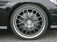 Vath Mercedes R172 SLK 350 (2012)