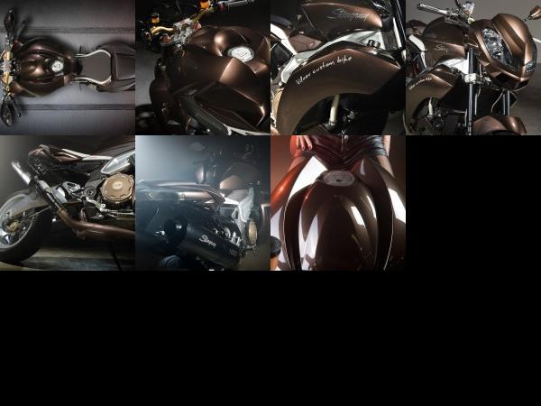 Vilner Aprilia Stingray (2013) - picture 13 of 19