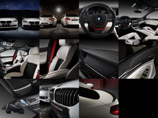 Vilner BMW 5-Series F10 (2013) - picture 1 of 11