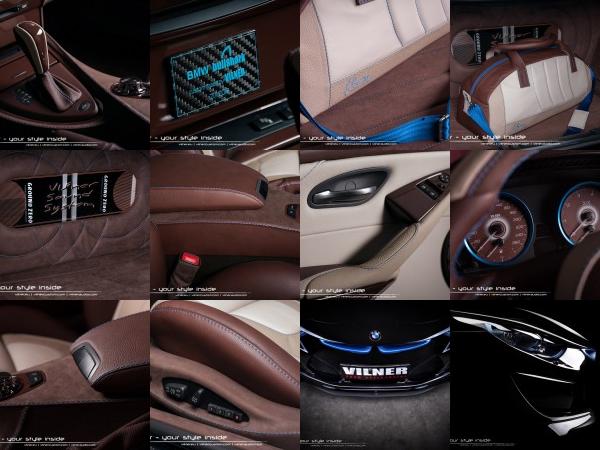 Vilner BMW Bullshark (2013) - picture 25 of 45