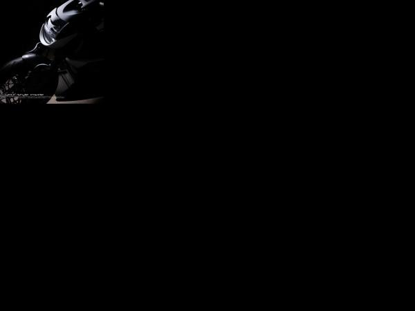 Vilner Ducati Diavel AMG (2013) - picture 25 of 25