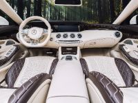 Vilner Mercedes-AMG S 63 4MATIC (2018) - picture 7 of 15