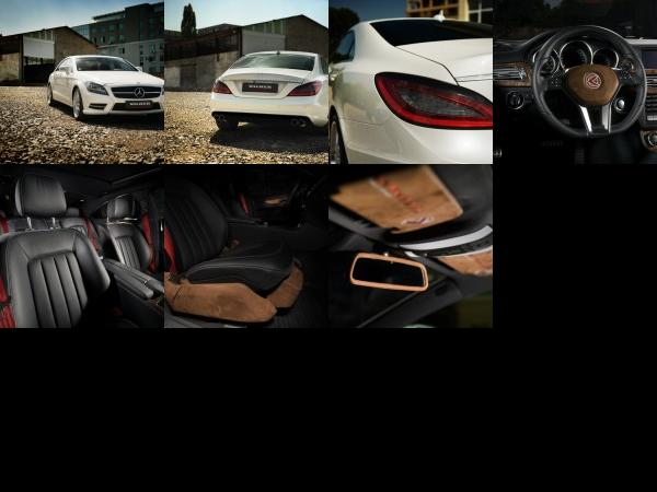 Vilner Mercedes-Benz CLS (2012) - picture 1 of 7
