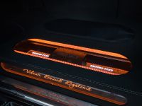 Vilner Mercedes-Benz G-Class (2011) - picture 5 of 17