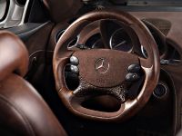 Vilner Mercedes-Benz SL (2013)