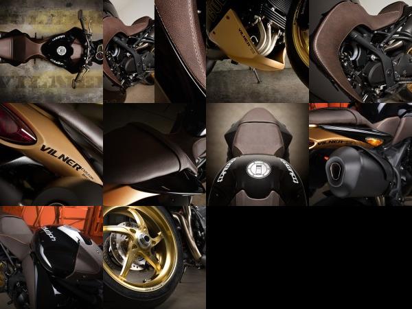 Vilner Vliner Triumph Speed Tripple Bulldog (2012) - picture 13 of 22