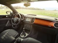 Volkswagen Beetle Fender Edition (2012)