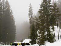 Volvo Burton Collection (2009)