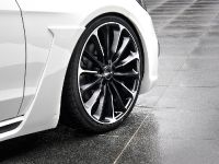 Wald 2014 Mercedes-Benz E-Class Black Bison Edition (2014)