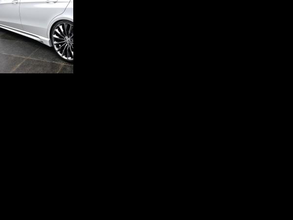 Wald 2014 Mercedes-Benz E-Class Black Bison Edition (2014) - picture 13 of 13