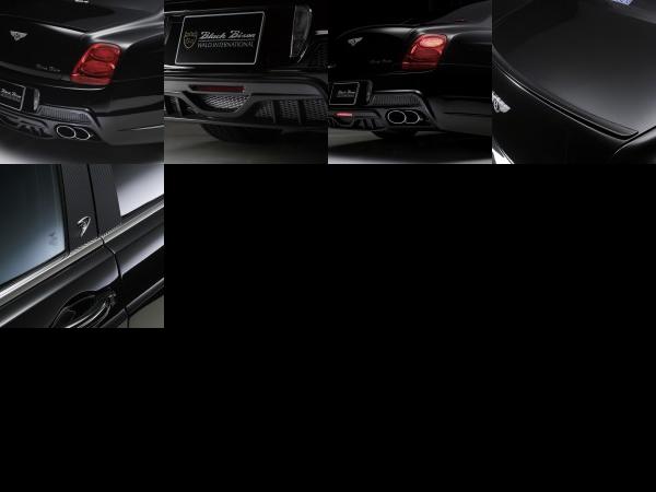 Wald Bentley Continental Flying Spur Black Bison Edition (2010) - picture 13 of 17