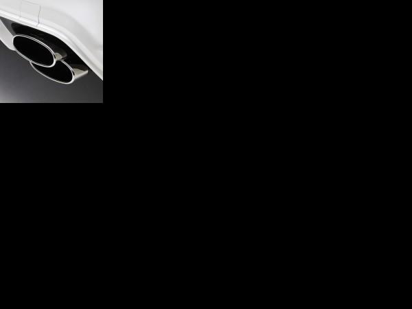 Wald Mercedes-Benz S-Class Sports Line Black Bison Edition (2010) - picture 25 of 25