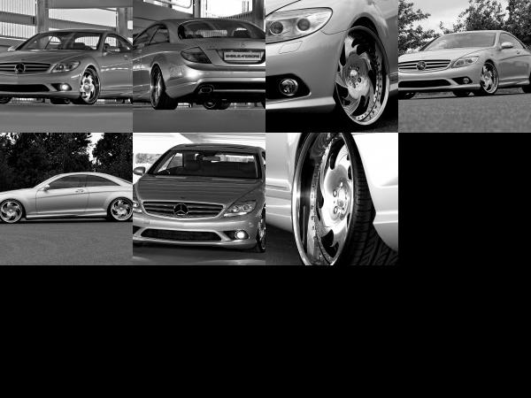 Wheelsandmore Mercedes-Benz CL 45 (2009) - picture 1 of 7