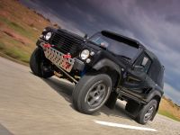 WILDCAT 300STR (2010)