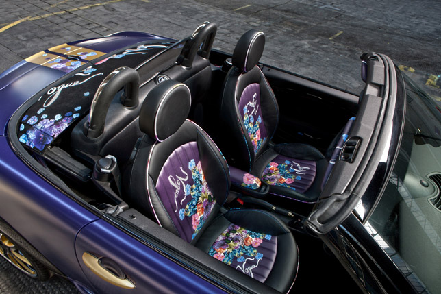 2012 MINI Roadster by Franca Sozzani Interior 2012 MINI Roadster by Franca Sozzani Interior