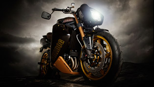 vliner triumph speed tripple bulldog custom bike [video]