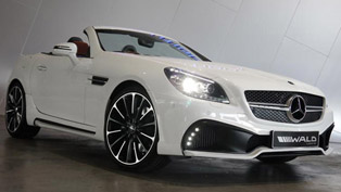 wald international mercedes-benz slk black bison (r172)