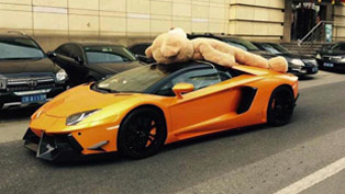 dmc lamborghini teddy bear edition