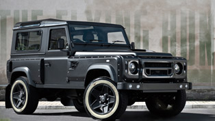 meet the first flying huntsman a.k.a.105 longnose defender