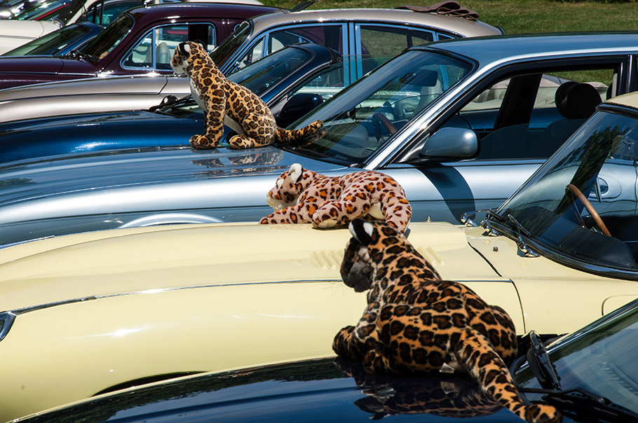 2018 Simply Jaguar